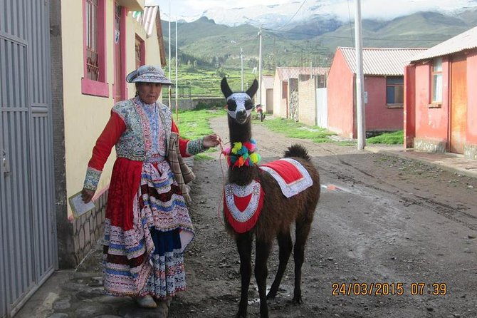 full-day-trip-to-colca-canyon-from-arequipa