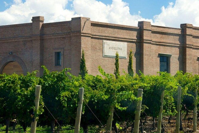 full-day-uco-valley-wine-experience-with-salentein