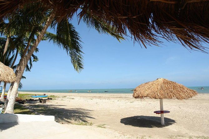 full-day-visit-to-paripueira-beach-and-tide-pools-in-maceio