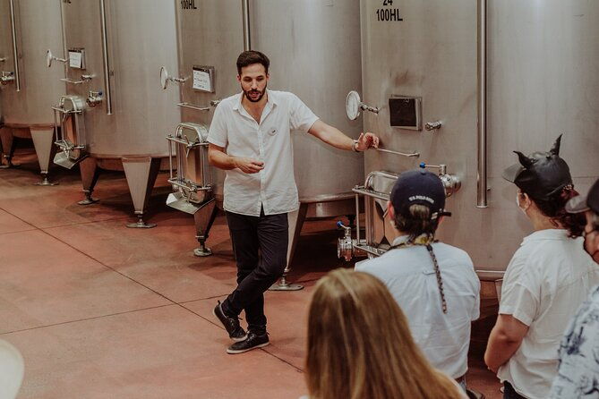 full-day-visit-to-vineyard-and-premium-tasting-in-san-miguel