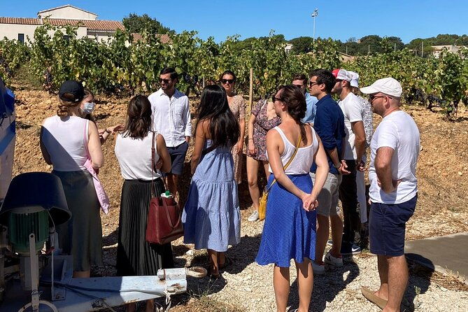 full-day-wine-and-cheese-tour-around-aix-en-provence-from-marseille