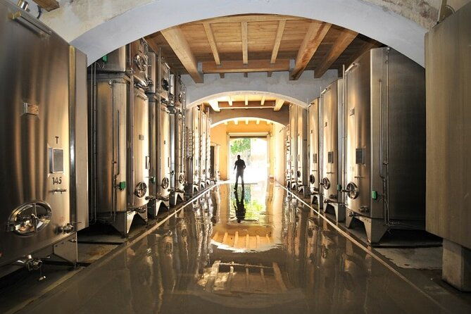 full-day-wine-tour-around-luberon-from-marseille