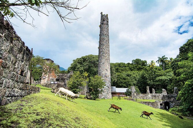 full-island-private-tour