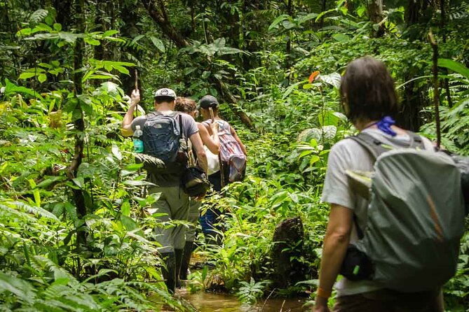 full-jungle-experience-tour