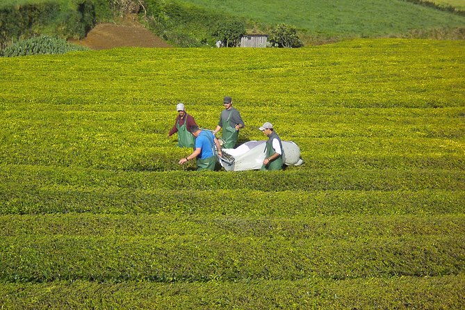furnas-full-day-tour-full-day-furnas-tour-min-2-persons
