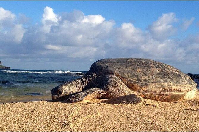 fuv-self-guided-island-adventure-tour
