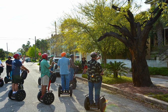 galveston-tree-carvings-segway-tour