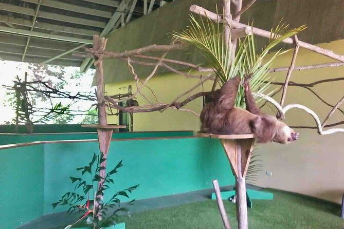 gamboa-wildlife-and-sloth-sanctuary-tour-with-pickup