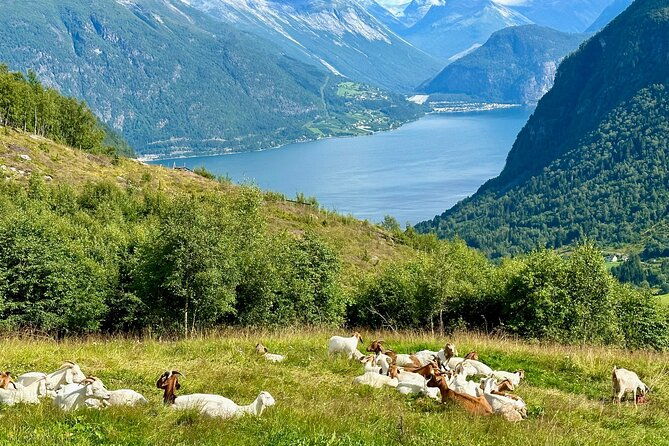geiranger-by-royal-route-5-hours-with-visiting-a-high-mountain-farm