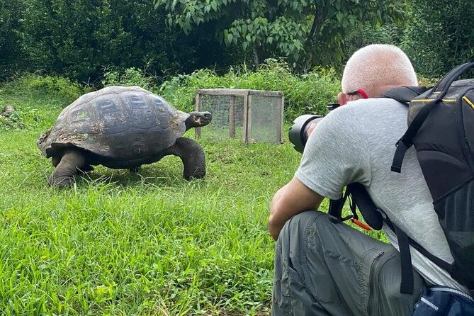 giant-turtle-watching-and-lava-tunnels-tour