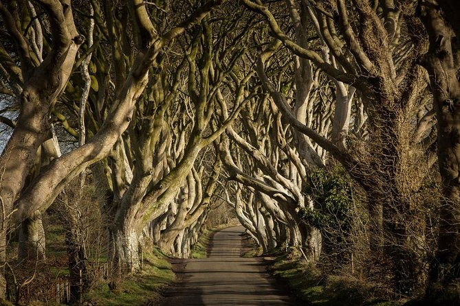 giants-causeway-and-whisky-distillery-tasting-tour-from-belfast