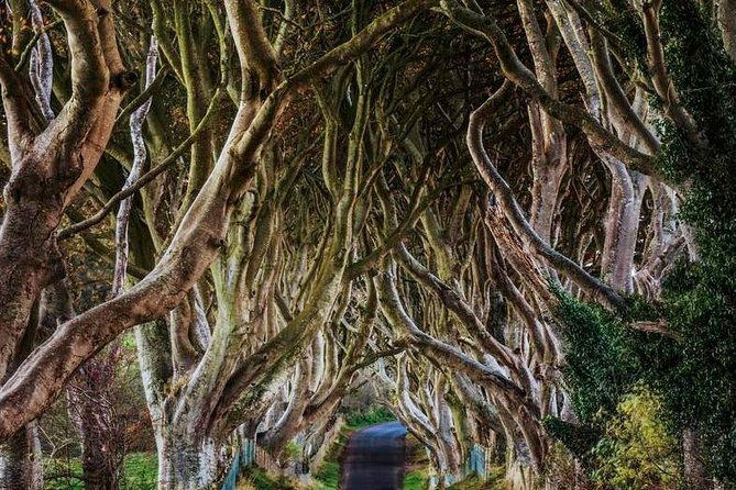 giants-causeway-full-day-tour-from-belfast