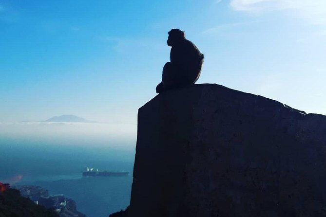 gibraltar-sightseeing-extended-rock-tour-shore-excursion-private
