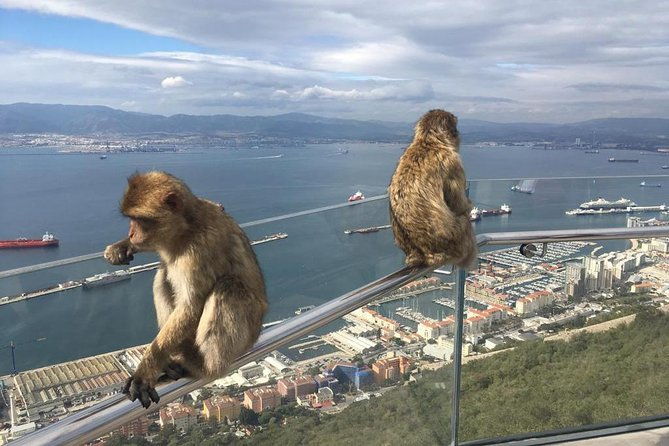 gibraltar-sightseeing-premium-rock-tour-shore-excursion-private
