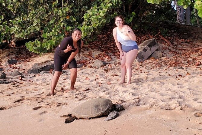 glass-bottom-kayak-guaranteed-to-see-turtles