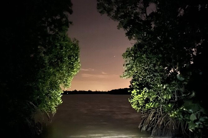 glow-clear-kayak-tour-2