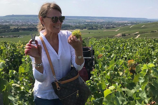 gold-champagne-experience-from-epernay-private-full-day-tour