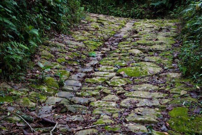 gold-trail-adventure-cultural-hike-by-paraty-tours