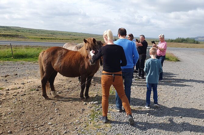 golden-circle-shore-excursion-from-reykjavik-in-small-group-english