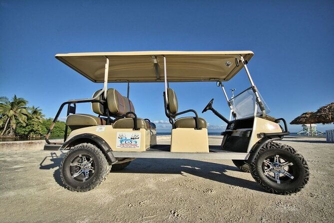 golf-cart-rental-by-group-2-6-seater