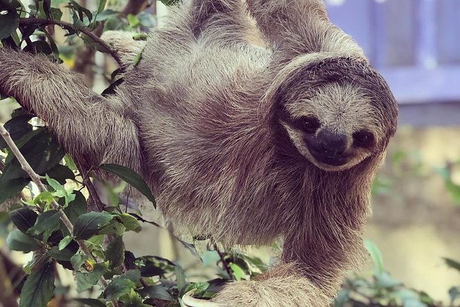 goodmans-tour-to-the-sanctuary-of-rescued-wild-animals