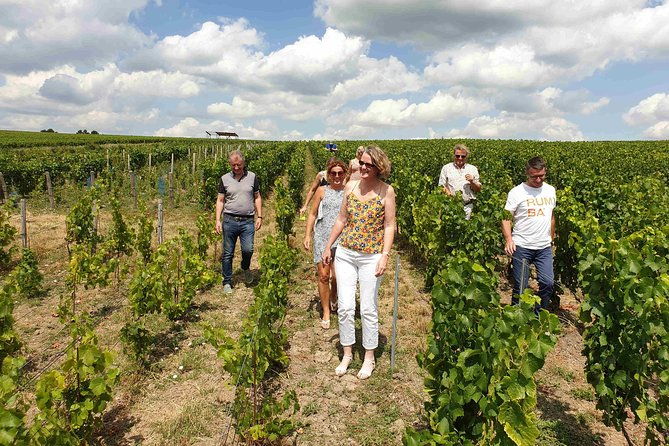 gourmet-walk-in-the-heart-of-the-vineyards-with-champagne-tasting-near-epernay