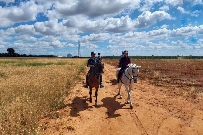 granada-sierra-nevada-horse-riding-tour