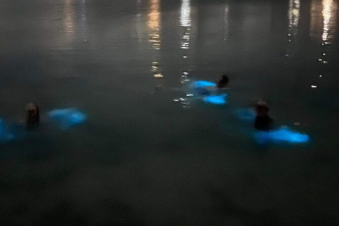 grand-cayman-bioluminescent-bay-tour
