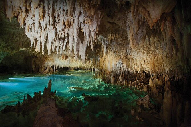 grand-cayman-private-customized-bus-tour