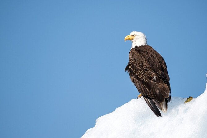 grand-teton-private-winter-tour-2