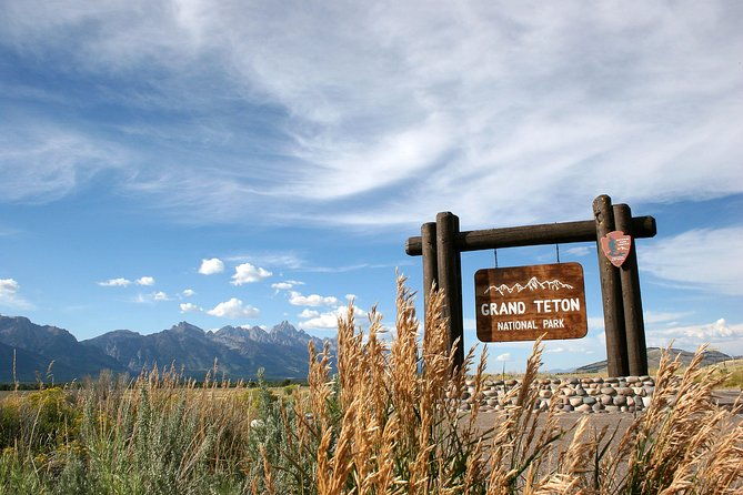 grand-teton-wildlife-safari-tour