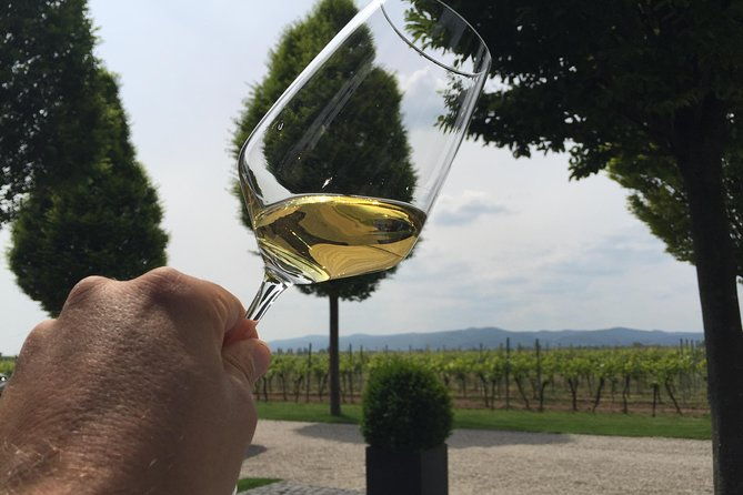 grape-day-out-pfalz-to-taste-cracking-red-wines-riesling