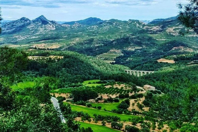 greenway-section-cretas-horta-de-sant-joan-11km-90-descending-10-flat-3