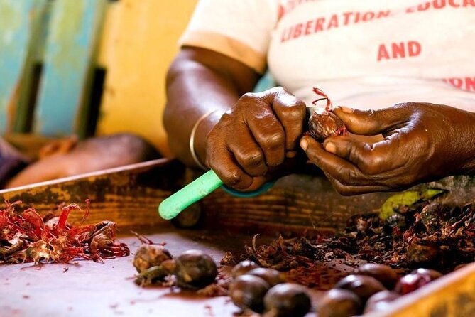 grenada-in-a-nutshell-deluxe-island-tour