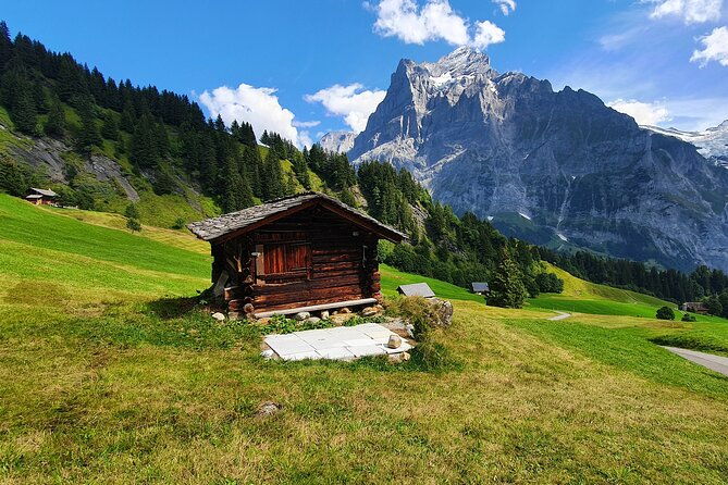 grindelwald-first-top-of-adventure-ticket-incl-cliff-walk