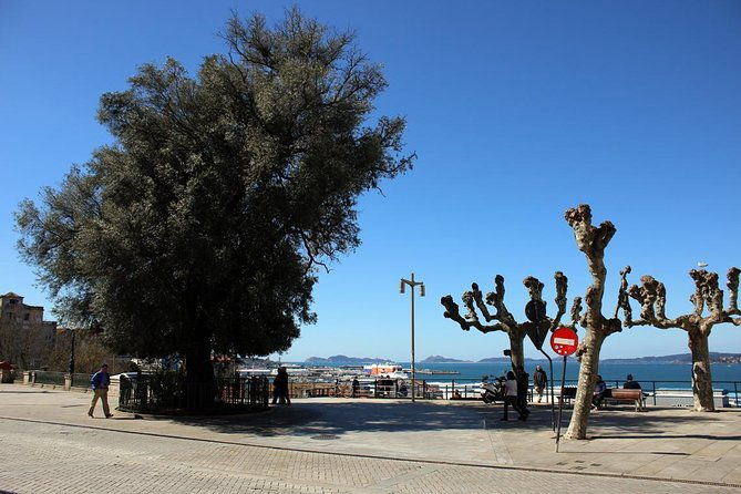 group-walking-tour-in-vigo