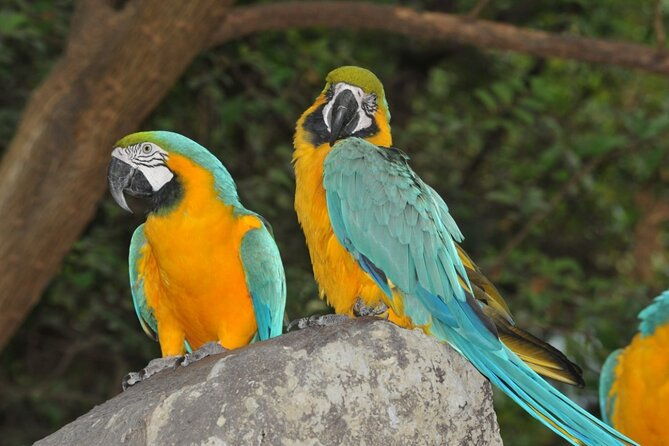 guayaquil-city-tour-and-historic-park-visit