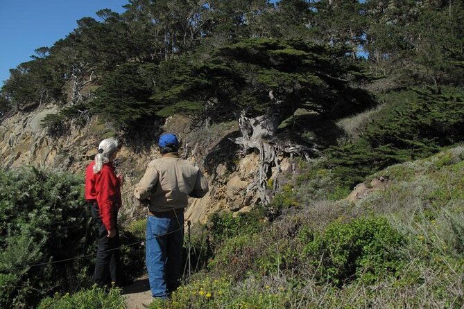 guided-2-hour-point-lobos-nature-walk