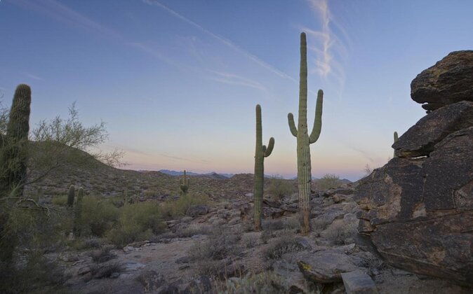 guided-desert-sunrise-or-evening-sunset-2-hour-hike-at-south-mtn
