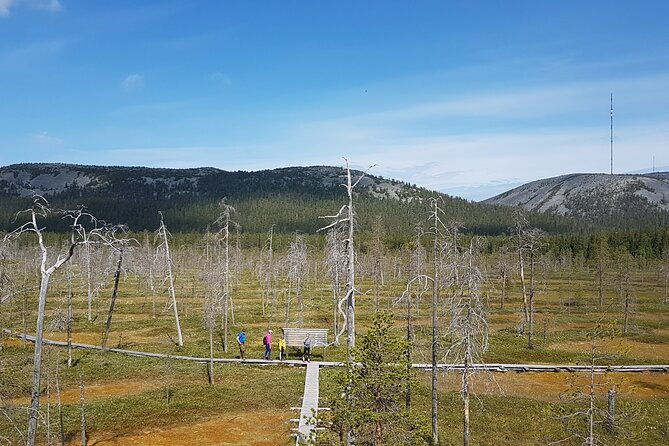 guided-easy-hike-in-finland-deepest-gorge-in-pyha-luosto-national-park