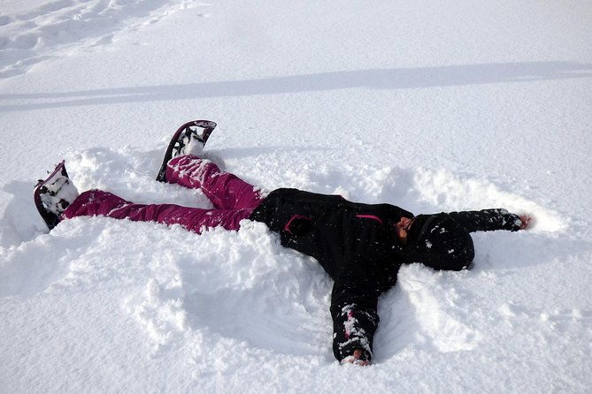 guided-easy-snowshoeing-with-a-visit-to-local-cafe