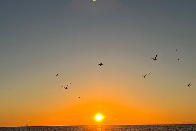 guided-glow-led-kayak-sunset-activity-in-bonita-springs
