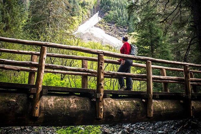 guided-hike-tongass-national-forest