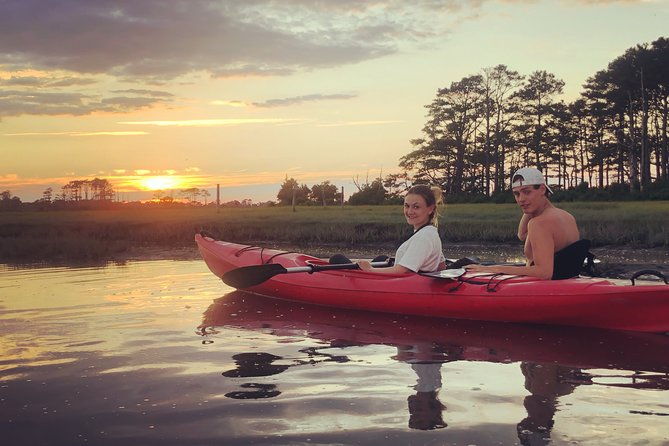 guided-kayak-tour-to-see-ponies-birds-dolphins-and-more