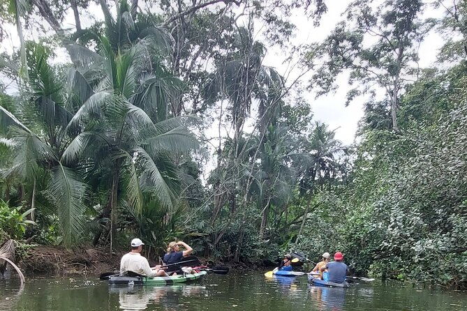 guided-kayaking-tour-to-punta-uva-river-with-nature-and-swimming