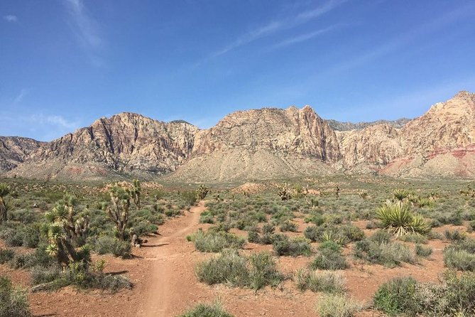 guided-or-self-guided-road-bike-tour-of-red-rock-canyon