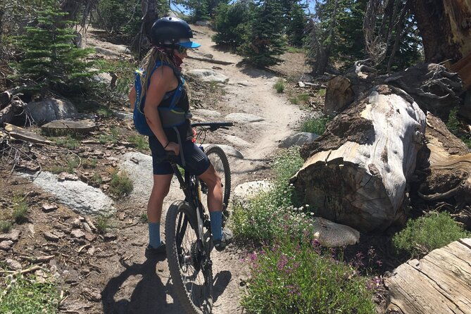 guided-scenic-bike-experience-above-lake-tahoes-east-shore