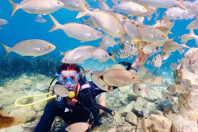 guided-scuba-diving-experience-in-kusadasi