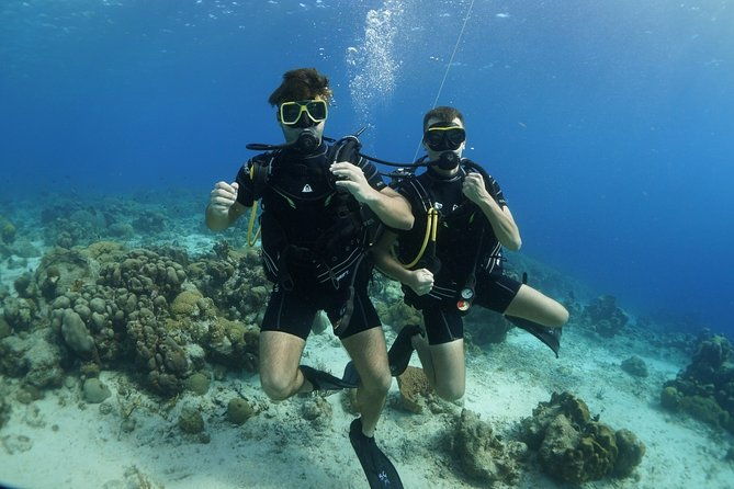 guided-shore-dive-for-certified-divers-with-scubacao-2-tank