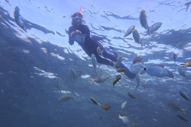 guided-snorkeling-experience